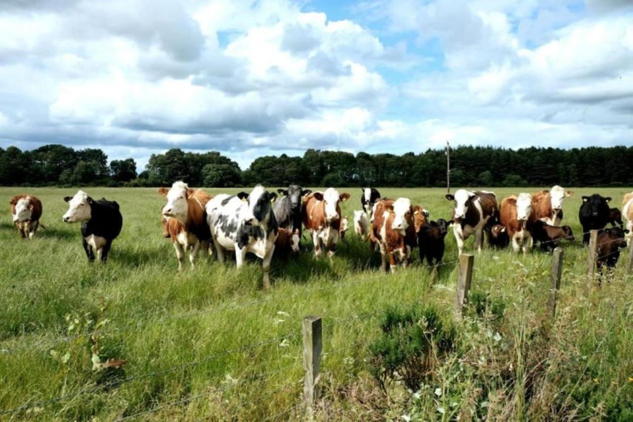 Lower Bruntlands Fochabers Exterior photo